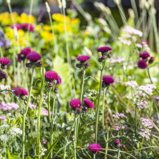 Ornate Garden RHS Malvern Spring Festival